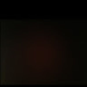 Meet your Posher, Paige